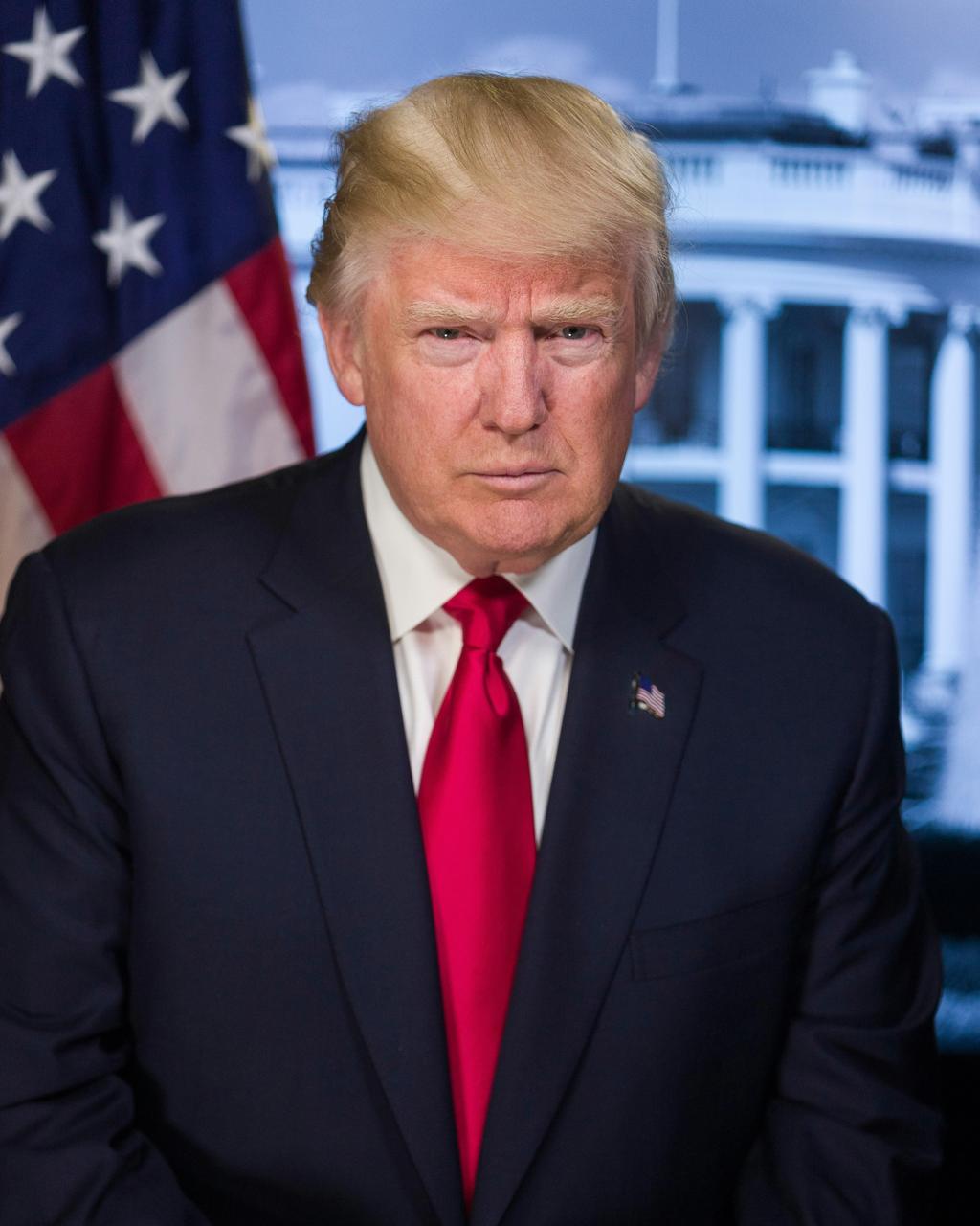 AI Trump simulation